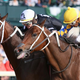 Illustration for article titled What would you name a racehorse?